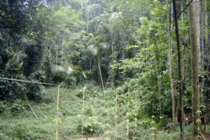 019 matalai rsm foundation