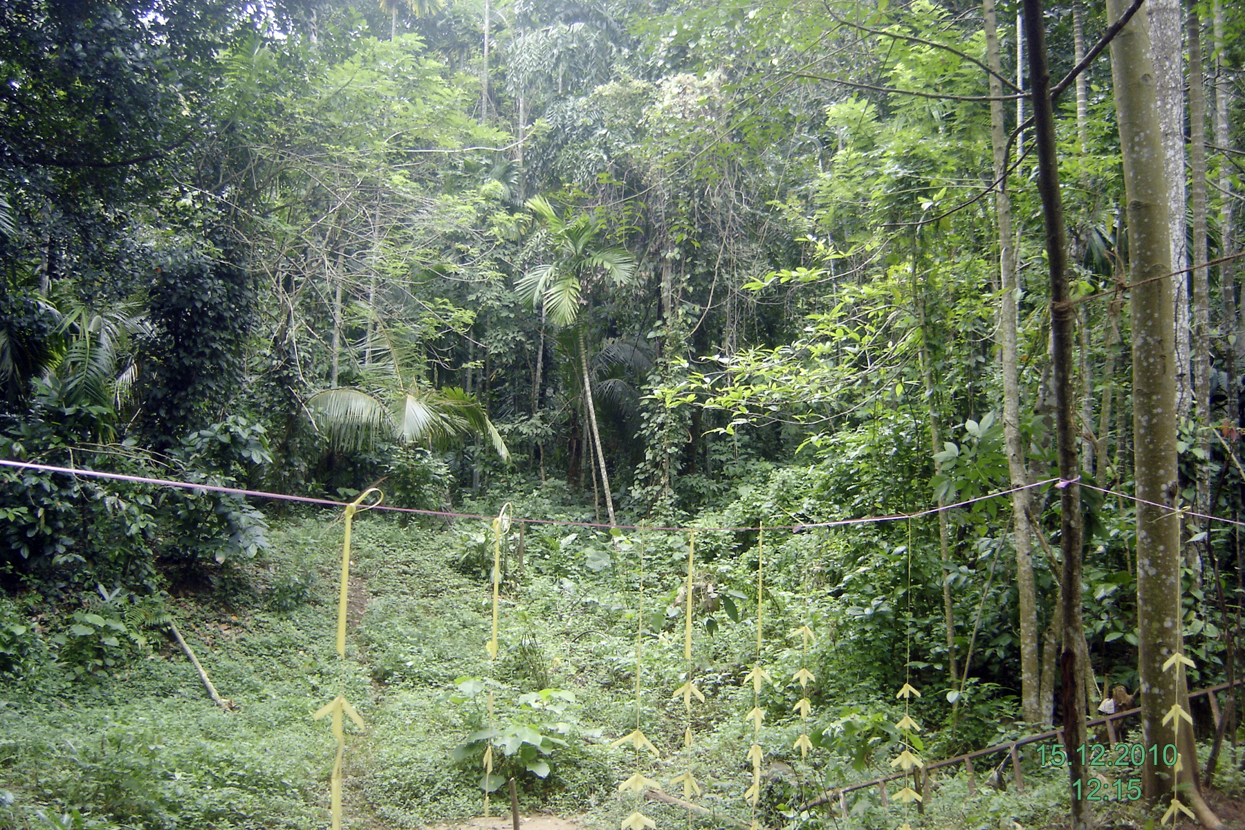019 matalai rsm foundation