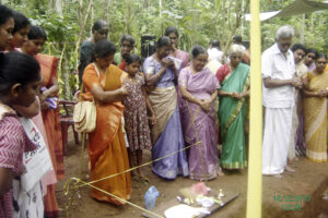 029 matalai rsm foundation